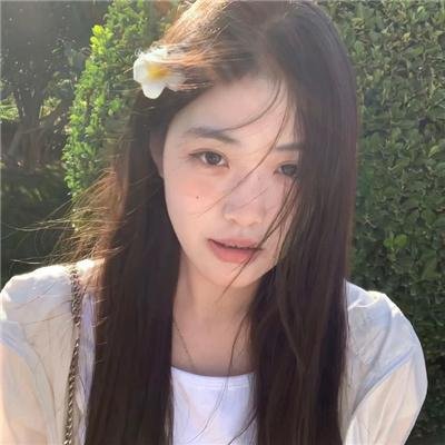 黎明的飞鸟